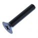 Click to see a larger image of M5 x 30mm Countersunk Pozi Screw/Bolt Black