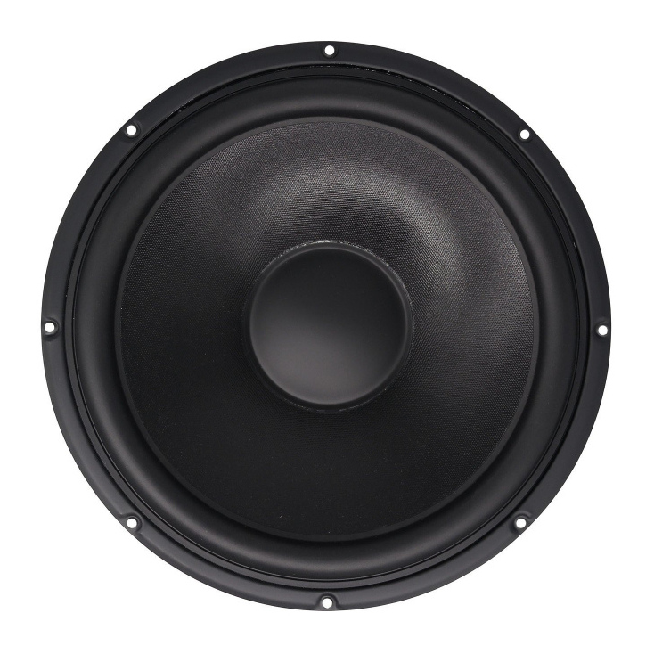 Peerless SLS-P830669 12 inch  100W Subwoofer